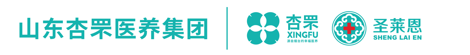 山东杏罘医养集团有限公司